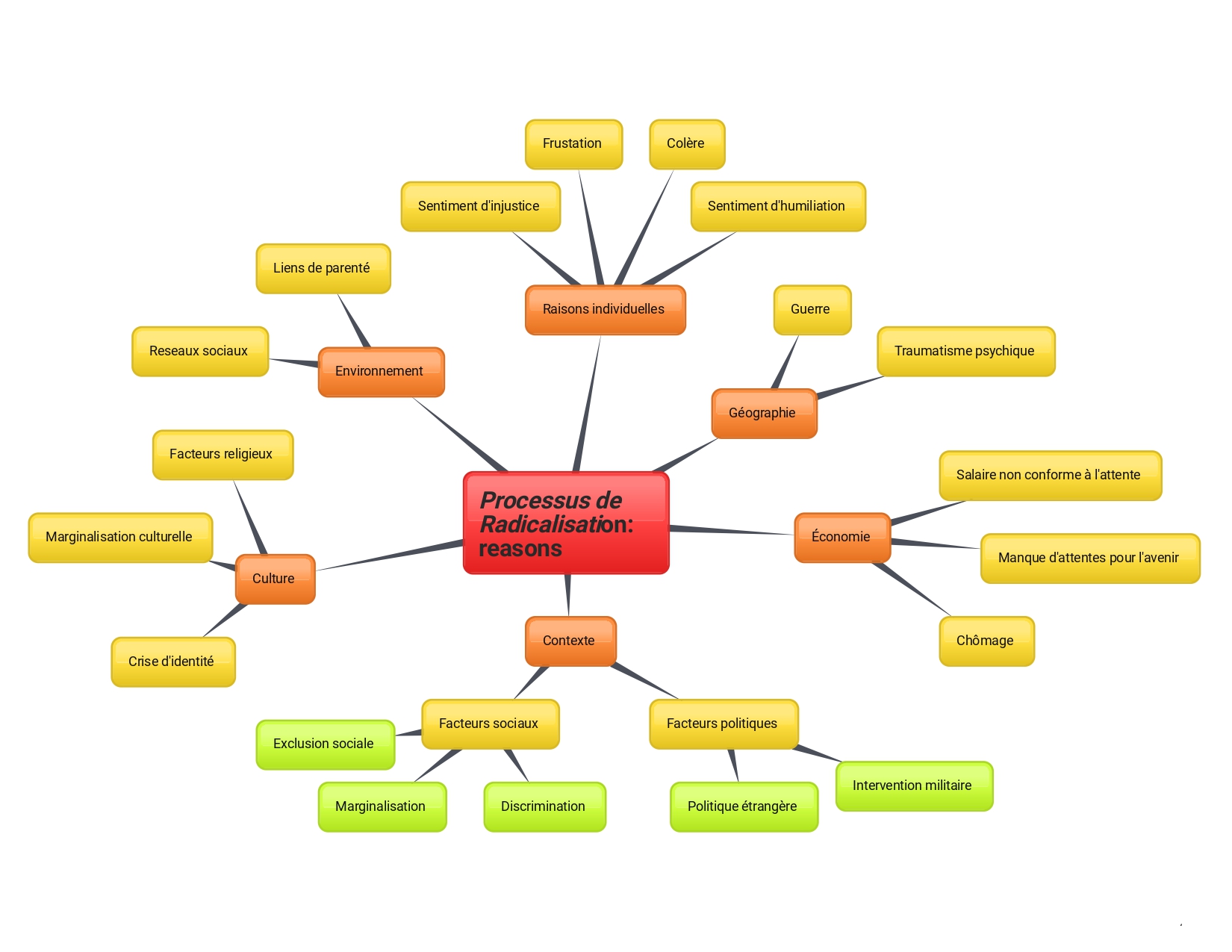Le Processus De La Radicalisation Motivations Et Raisons Le Processus De La Radicalisation Motivations Et Raisons